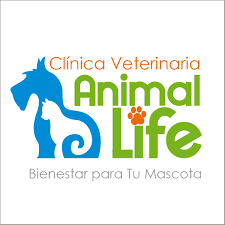 Animal Life