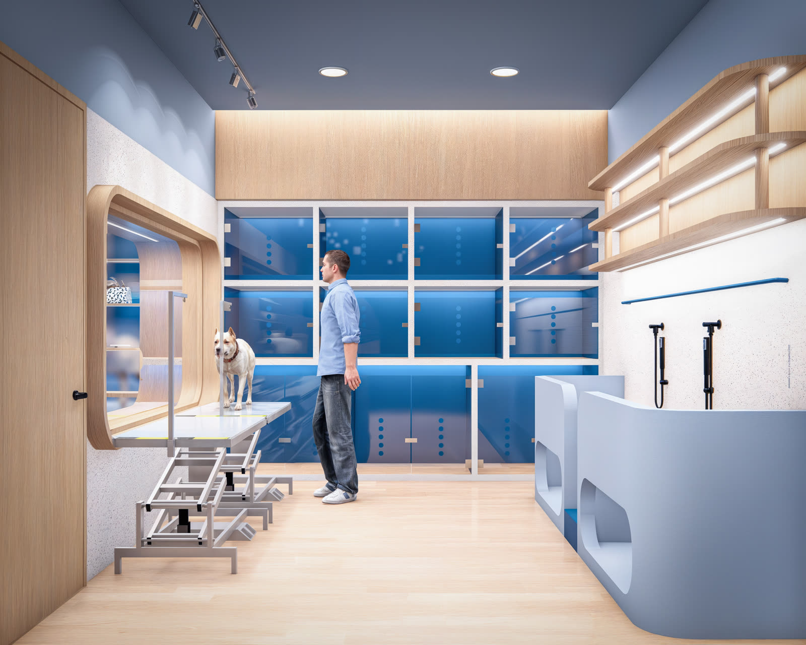 KirVet · Spa & grooming